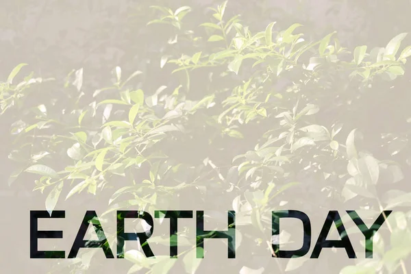 Ordet Earth Day Grön Natur Bakgrund Jord Dag Ekologi Koncept — Stockfoto