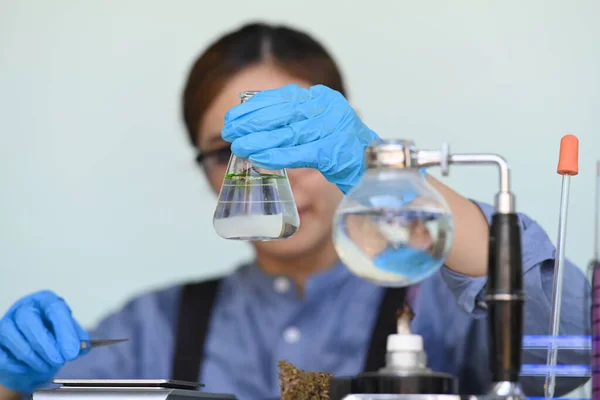 Researcher conducting scientific research in science lab. Herbal alternative medicine, cbd oil, pharmaceutical industry concept — Stock Photo, Image