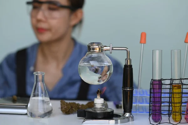 Glazen schaal met cbd olie gewonnen uit een marihuanaplant op witte tafel en vrouwelijke wetenschapper die experimenteert op de achtergrond. — Stockfoto