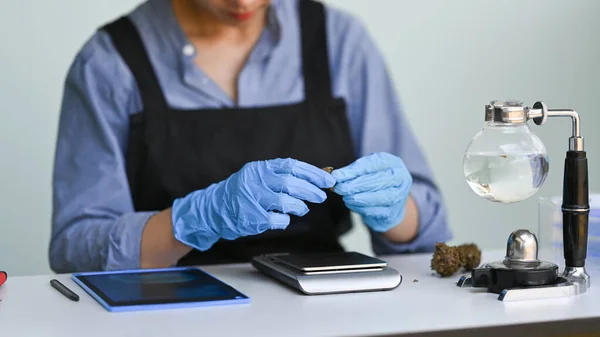 Chemist Researching Examining Hemp Oil Laboratory Herbal Alternative Medicine Cbd — Stock Photo, Image