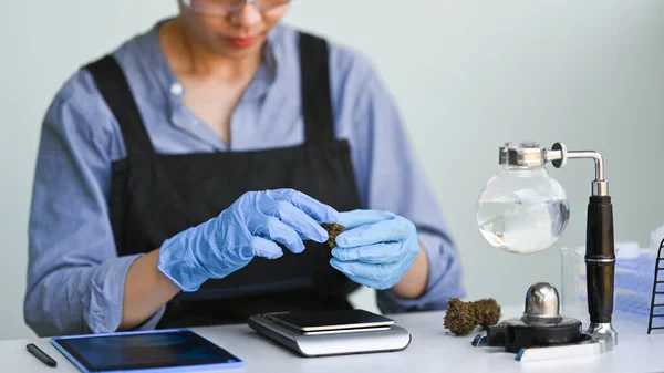 Female Scientist Researching Hemp Oil Laboratory Herbal Alternative Medicine Cbd — Stock Photo, Image