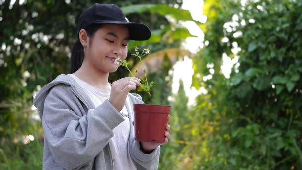 Alegre Asiático Mãos Menina Segurando Pequena Árvore Para Plantio Salvando — Vídeo de Stock