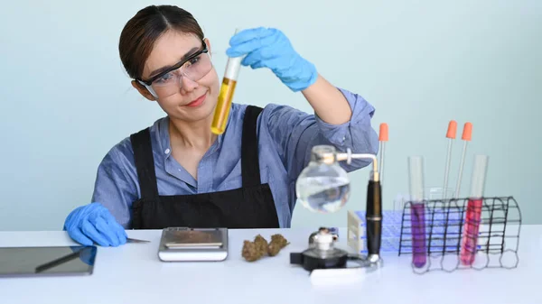 Chemist Researching Examining Marijuana Oil Laboratory Herbal Alternative Medicine Cbd — Stock Photo, Image