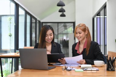 Proje istatistiklerini ya da mali raporları birlikte ofis masasında tartışan genç iş adamları.