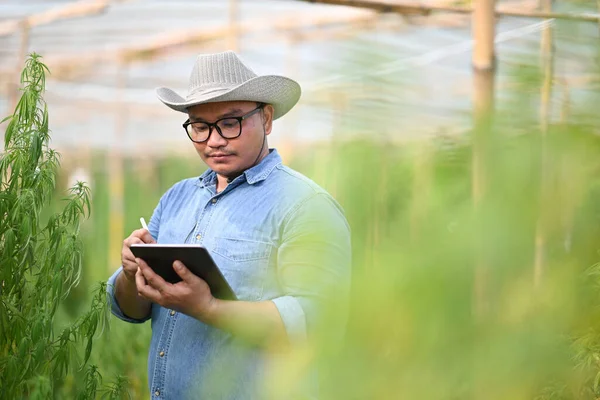 Jóvenes Agricultores Innovadores Que Utilizan Tabletas Digitales Comprueban Calidad Las —  Fotos de Stock