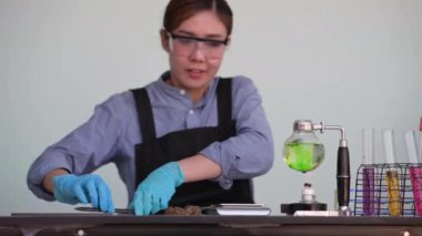 Biyoteknoloji bilimcisi kenevir bitkilerini analiz ediyor ve tabletteki deneylerin sonuçlarını kaydediyor. Bitkisel alternatif tıp, cbd yağı konsepti.