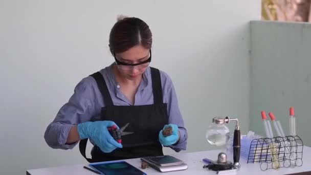 Cientista Feminina Pesquisando Examinando Óleo Cânhamo Laboratório Medicina Alternativa Herbal — Vídeo de Stock