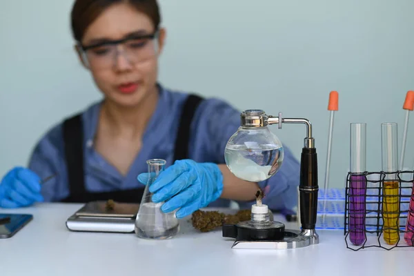 Chemikerin Untersucht Marihuana Labor Pflanzliche Alternative Medizin Cbd Ölkonzept — Stockfoto