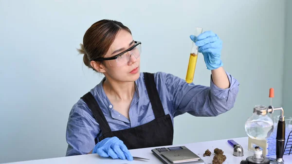 Científica Biotecnológica Investigando Examinando Aceite Cannabis Laboratorio Medicina Alternativa Herbal —  Fotos de Stock