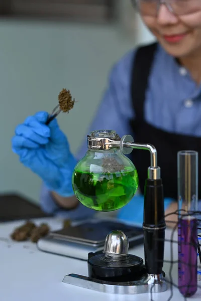 Cropped Shot Female Scientist Putting Dry Sample Cannabis Test Tube — Stockfoto