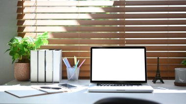 Dizüstü bilgisayarı, kitapları, kırtasiyeyi ve ev bitkisini beyaz masaya yerleştir.