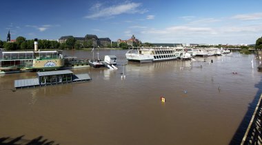 Dresden, Almanya, Haziran 2013 sel