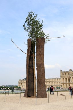 Giuseppe penone kurulumda bahçeleri versailles