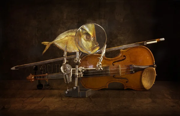 Still Life "Peixe e violino ." — Fotografia de Stock