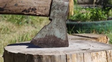 ahşap dal baltasıyla felling