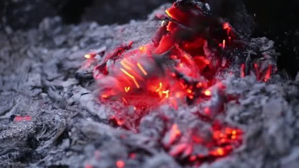 Insuffler le feu dans les braises brûlées — Video