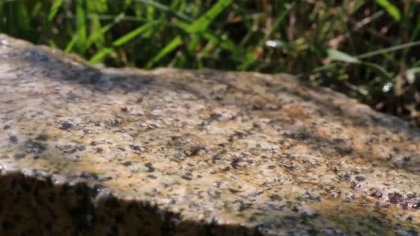 Flowing water on the surface of the stone — Stock Video