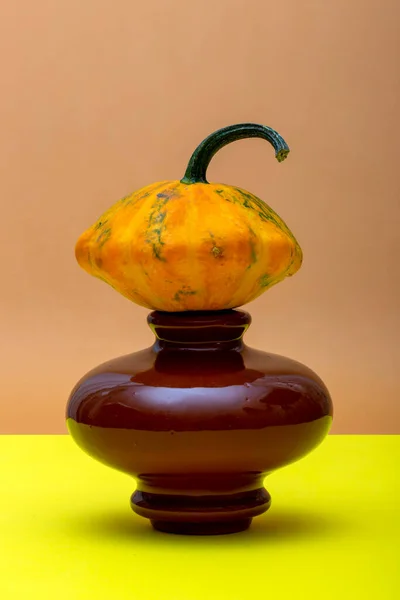 Nature Morte Avec Courge Mûre Sur Vase Brun — Photo