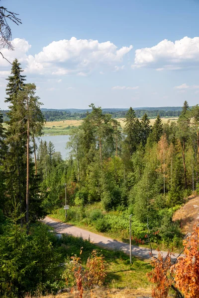 Uitzicht Vegetatie Het Stadspark Van Stad Sortavala Republiek Karelië Rusland — Stockfoto