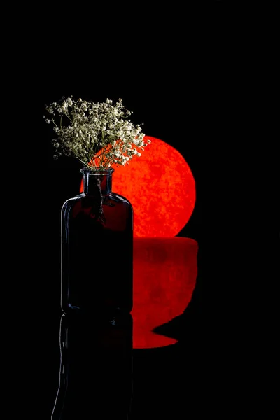 Natureza Morta Com Vaso Vidro Com Flores Fundo Círculo Vermelho — Fotografia de Stock