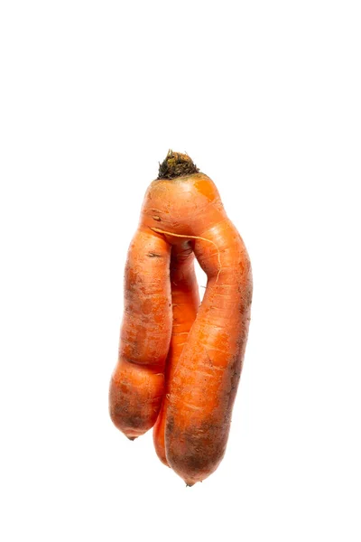 Zanahorias Maduras Forma Inusual Sobre Fondo Blanco —  Fotos de Stock