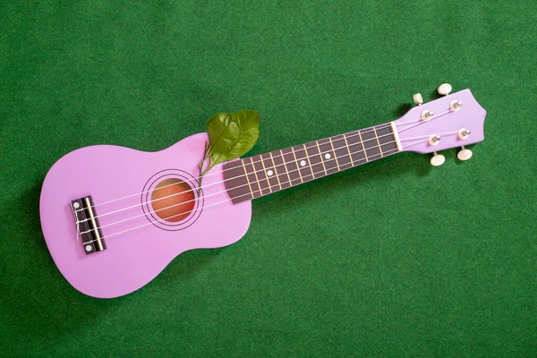 Guitarra Ukelele Cuatro Cuerdas Sobre Fondo Verde — Foto de Stock