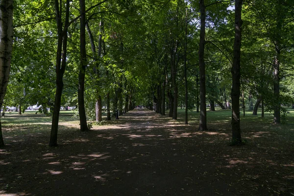 Shady Alley Petrovsky Park Kronstadt Petersburg — Stock Photo, Image