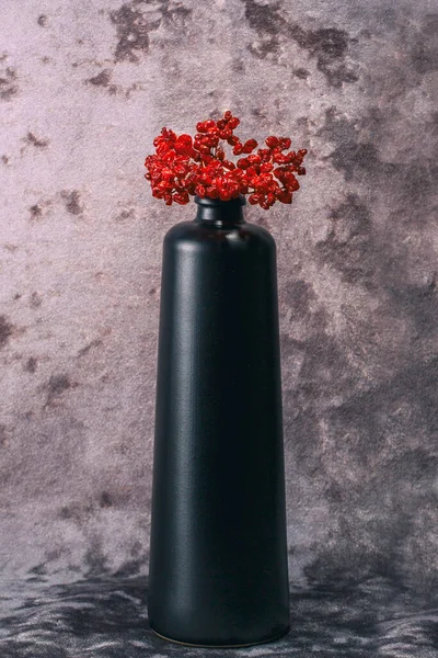 Νεκρή Ζωή Αποξηραμένα Μούρα Του Κόκκινου Βιβούρνου — Φωτογραφία Αρχείου