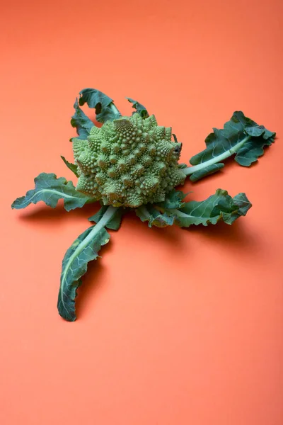 Καρποί Λάχανου Romanesco Broccoli Απομονωμένοι Έγχρωμο Φόντο — Φωτογραφία Αρχείου