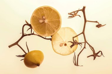 Açık bir arkaplanda dilimler halinde kesilmiş limon ve domates dalları