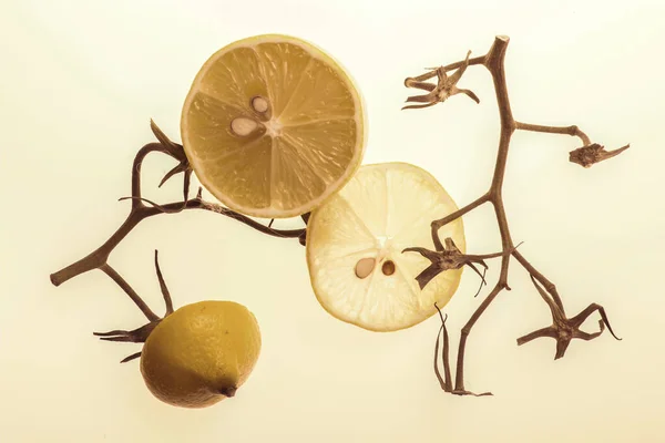 Ломтики Лимона Томатных Ветвей Светлом Фоне — стоковое фото