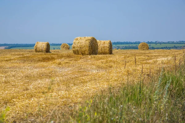 Сільський Пейзаж Пшеничним Полем Після Збору Врожаю — стокове фото