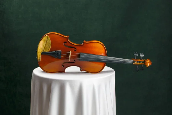 천으로 바이올린 도살아 — 스톡 사진