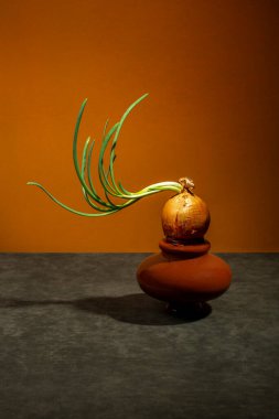 Renkli arkaplanda kahverengi bir vazoya serpilmiş soğan.