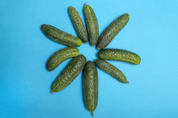 Une Figure Concombres Mûrs Sur Fond Bleu — Photo