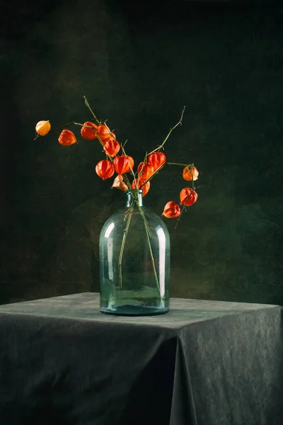 Still Life Branches Physalis Glass Jars Royalty Free Stock Photos