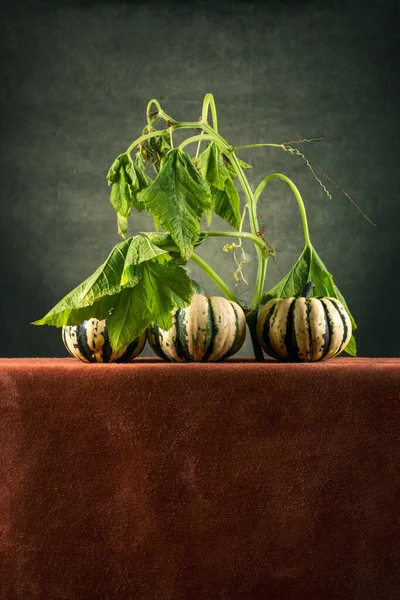 Three Striped Decorative Pumpkins Brown Table — Fotografia de Stock