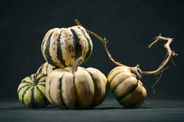 Five Striped Decorative Pumpkins Dark Background — Stock Photo, Image