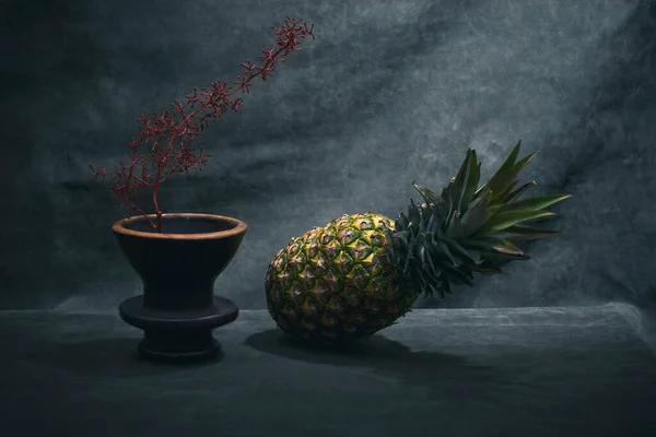 Still Life Pineapple Brown Vase Branch — Stock Photo, Image