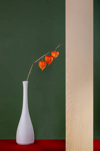 Still Life Branch Physalis White Vase Wooden Board — Φωτογραφία Αρχείου