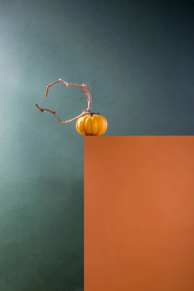 Still Life Decorative Pumpkin Rectangular Figure — Foto de Stock