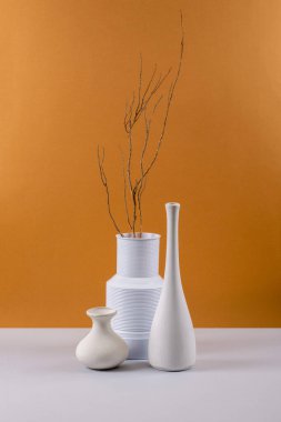 Still life with white vases with a tree branch on a colored background