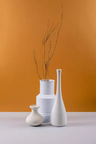 Still Life White Vases Tree Branch Colored Background — Fotografia de Stock