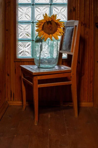 Ripe Sunflower Glass Jar Front Window Chair — Zdjęcie stockowe