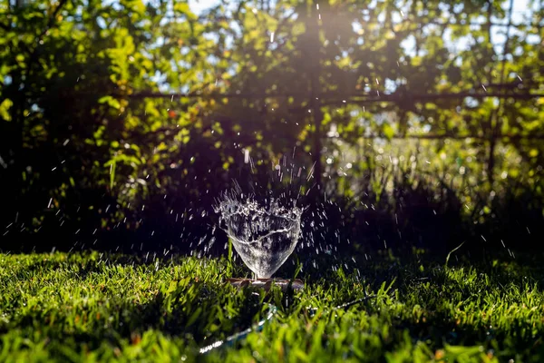 Aspersor Universal Jardín Sobre Césped Verde Con Una Fuente Agua —  Fotos de Stock