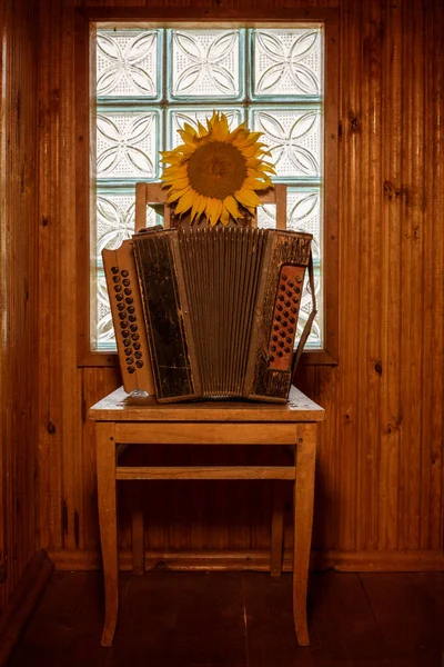 Still Life Old Accordion Chair Sunflower — Zdjęcie stockowe