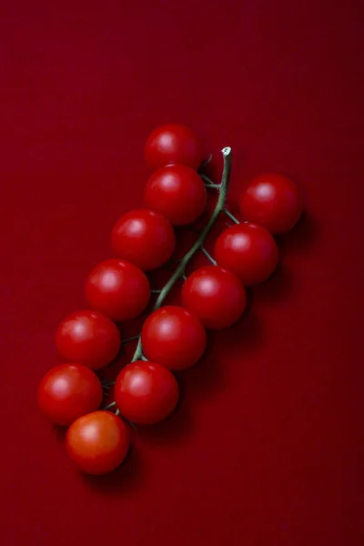 Ripe Red Cherry Tomatoes Red Background — Stockfoto
