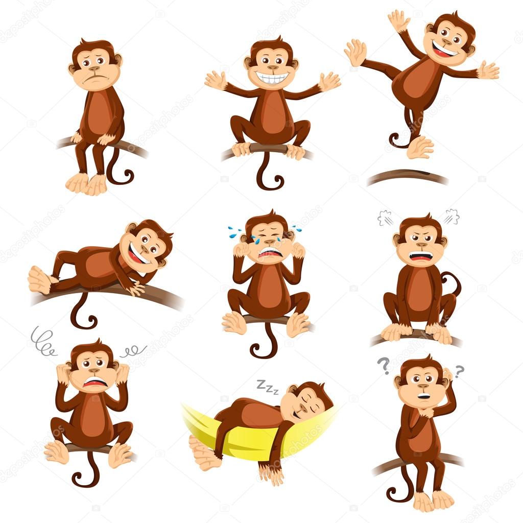 Monkey with different expression