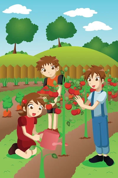 Bambini piantare ortaggi e frutta — Vettoriale Stock