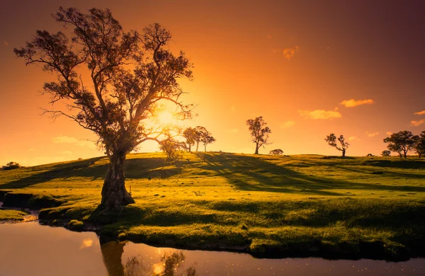 Gün batımı creek — Stok fotoğraf